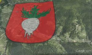 Rzyki