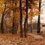 Park w Koscielcu_