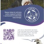 zakaz_kolcow__Strona_4