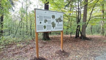 panskagora.edu.pl
